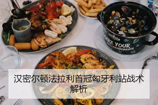 汉密尔顿法拉利首冠匈牙利站战术解析