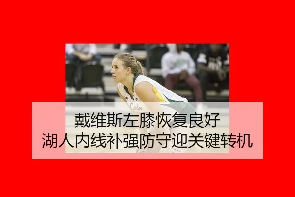 戴维斯左膝恢复良好 湖人内线补强防守迎关键转机