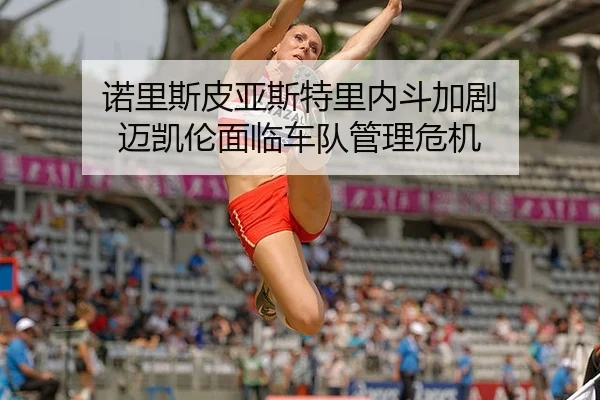 nuo-li-si-pi-ya-si-te-li-nei-dou-jia-ju-mai-kai-lun-mian-lin-che-dui-guan-li-wei-ji-2-510.jpg