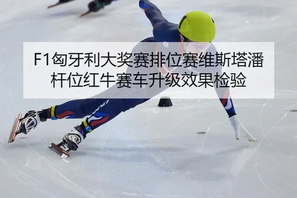 xiong-ya-li-da-jiang-sai-pai-wei-sai-wei-si-ta-pan-gan-wei-hong-niu-sai-che-sheng-ji-xiao-guo-jian-yan-2-922.jpg